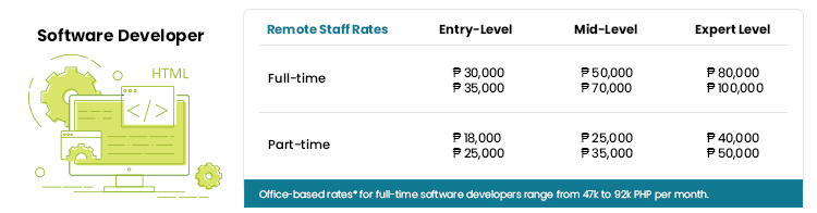 software developer