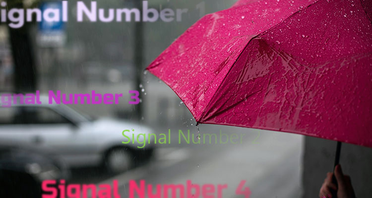 Understanding Storm Signals