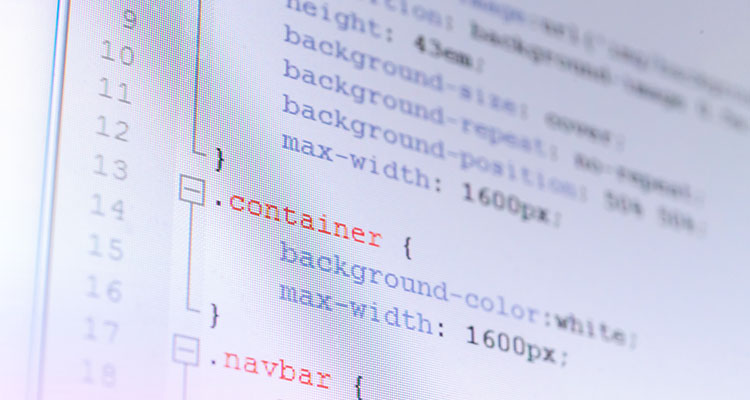Software Skills