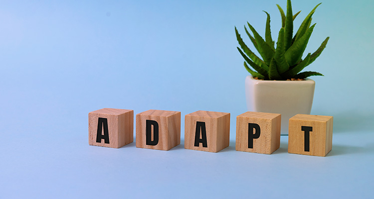 Adapatability