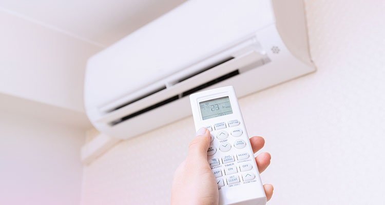 Cool Temperature
