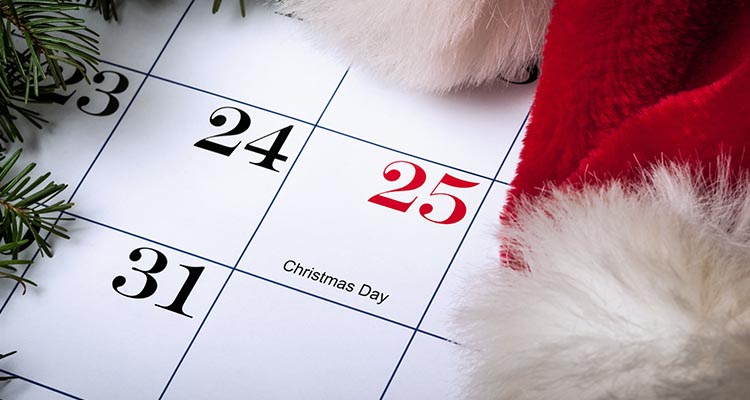Use Up Most of Your Remaining Paid Leaves on the Christmas Season
