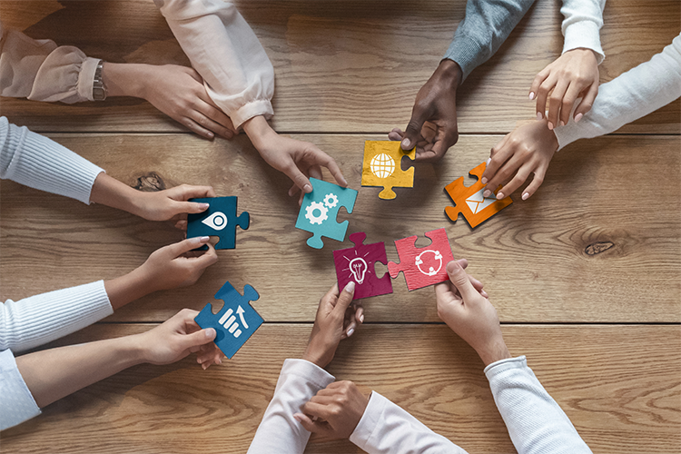 Collaboration Skills