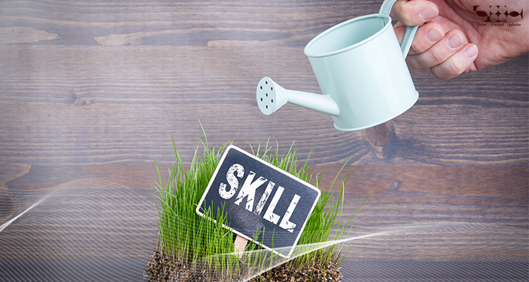 Constantly Hone Your Programming and Coding Skills
