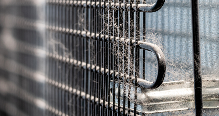 Clean Refrigerator Coils