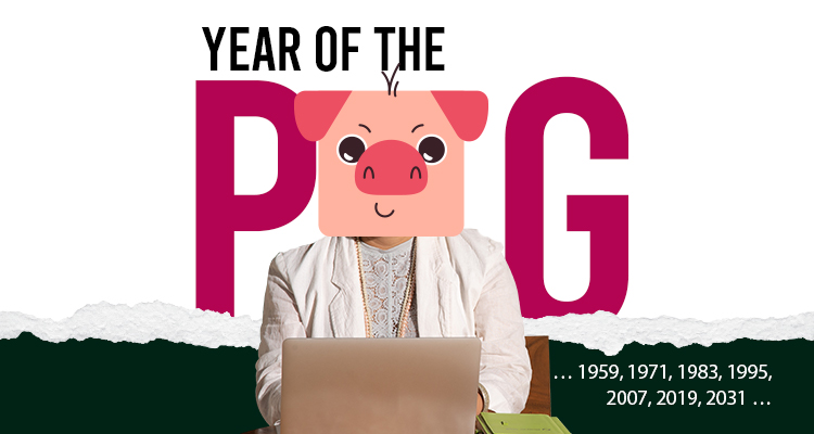 Pig