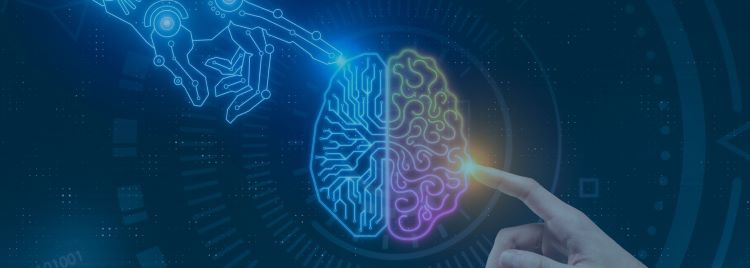 AI Trainers