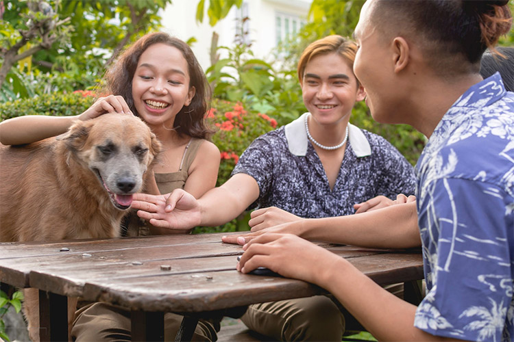 Pets Are a Gateway to Making Connections